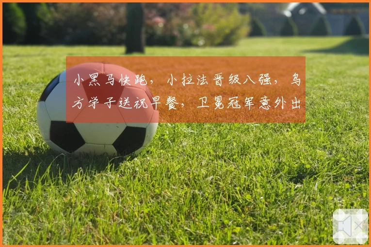 小黑马快跑，小拉法晋级八强，乌方学子送祝早餐，卫冕冠军意外出局